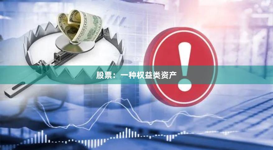 股票：一种权益类资产